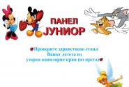 Panel junior